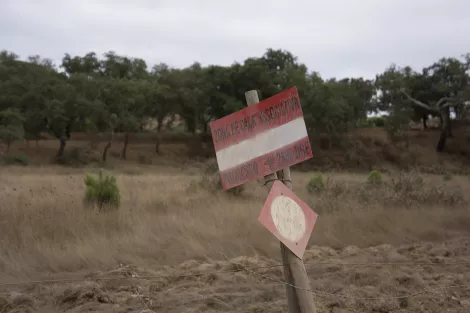 don't cross the border don't cross the border