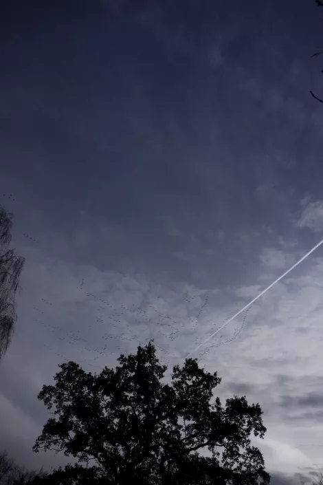 Lines in the sky by planes Lines in the sky by planes