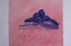 A tiger and so not a turtle - contemporary modern artwork